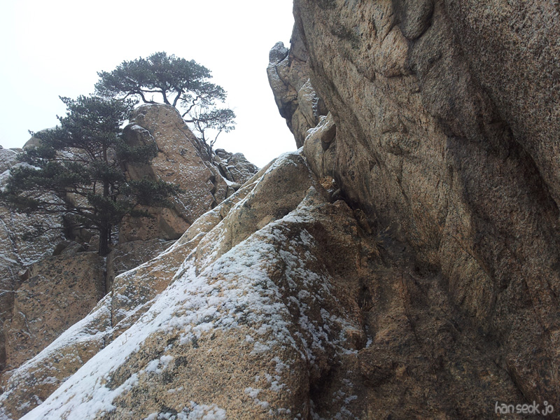 20130116d.jpg