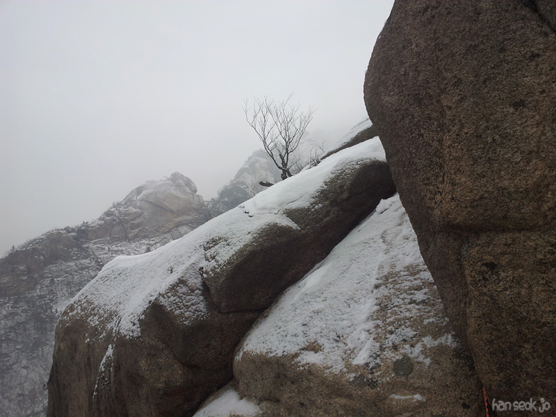 20130116e.jpg