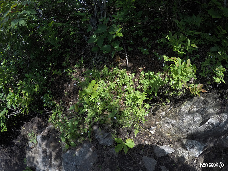 GOPR0293.jpg