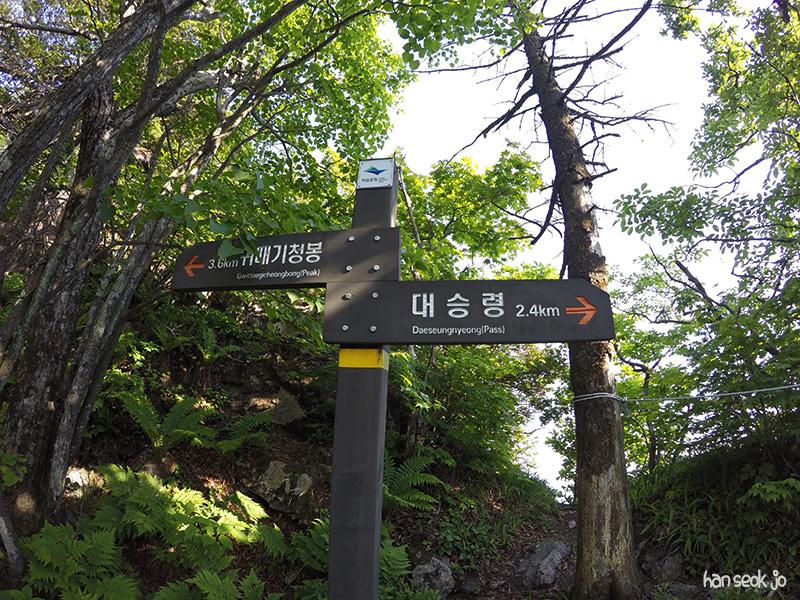 GOPR0324.jpg