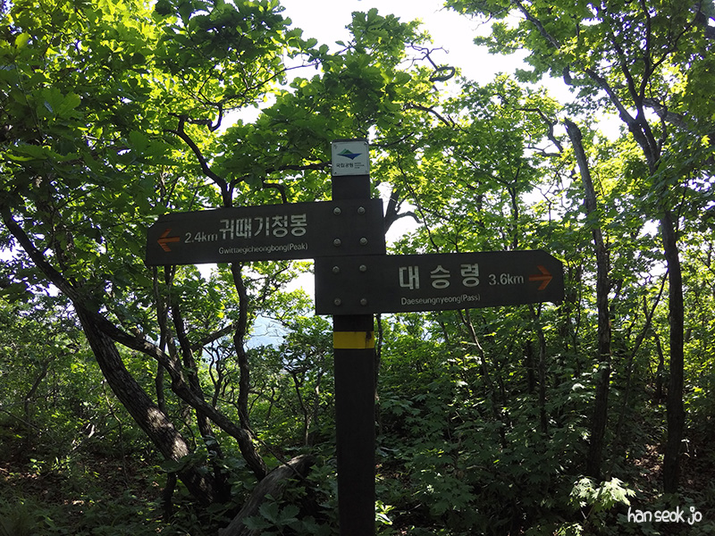 GOPR0302.jpg