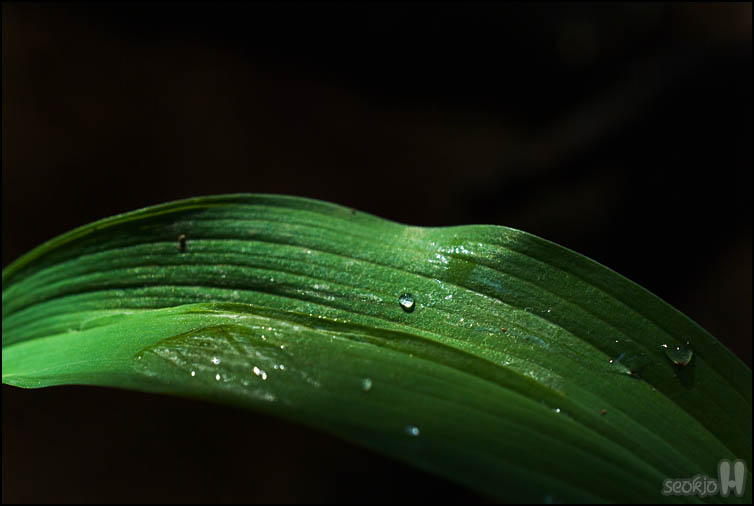 DSCF0837.jpg