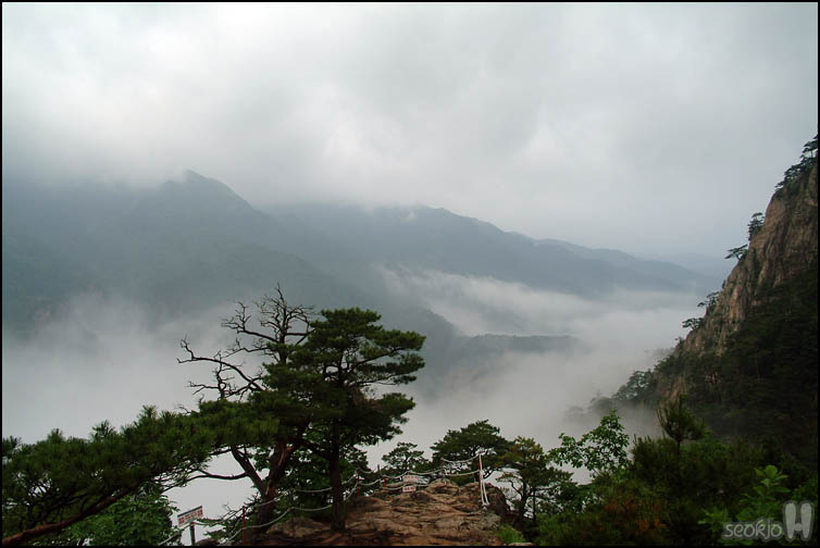 DSCF1790.jpg