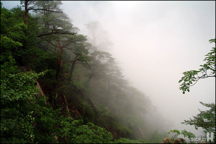 DSCF1791.jpg