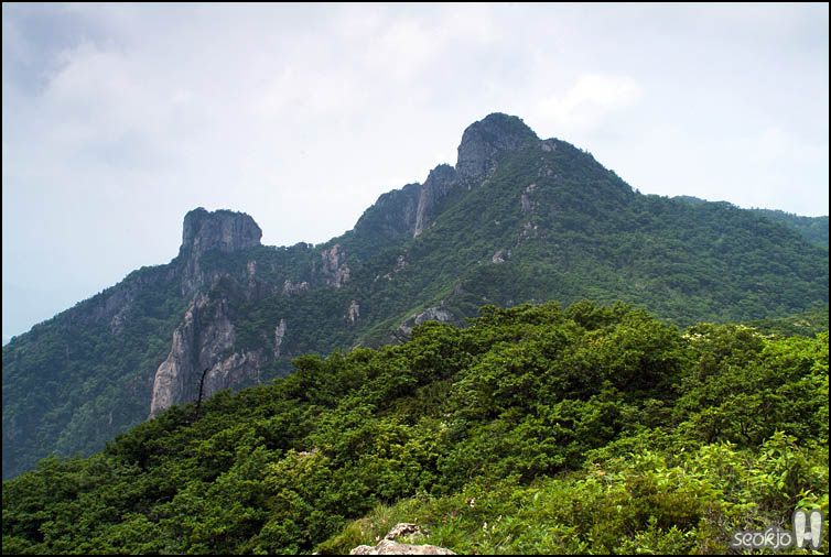 DSCF1874.jpg
