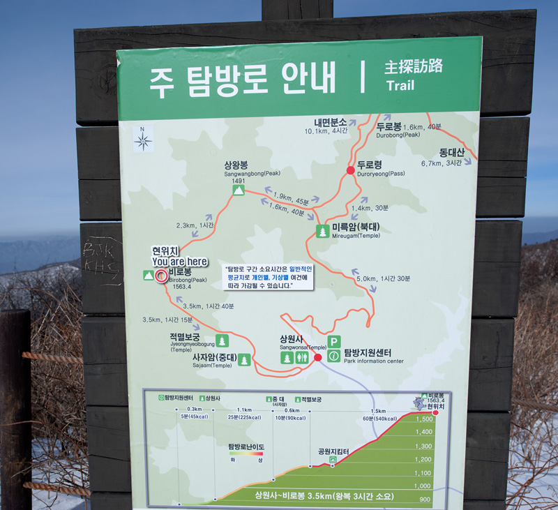HSJ_6357.jpg