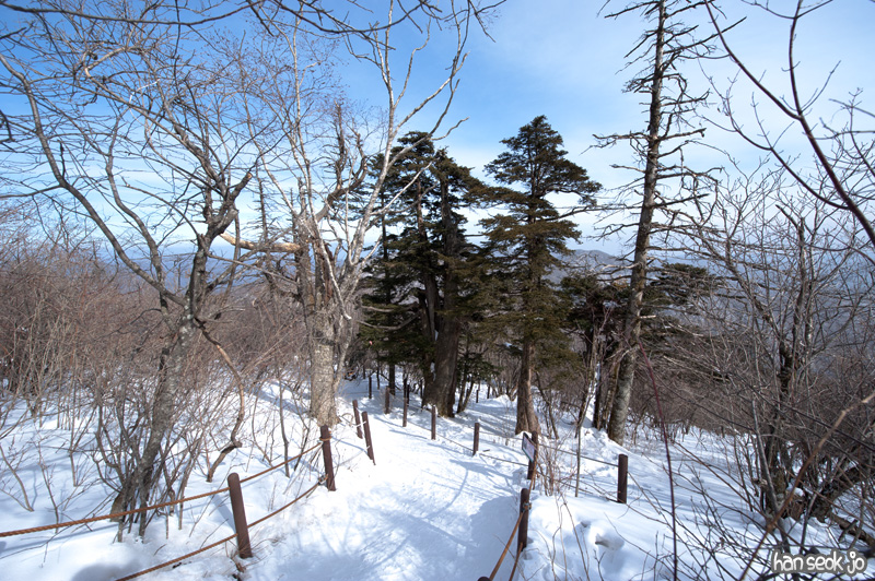 HSJ_6380.jpg