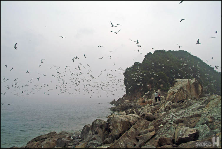 DSCF2118.jpg