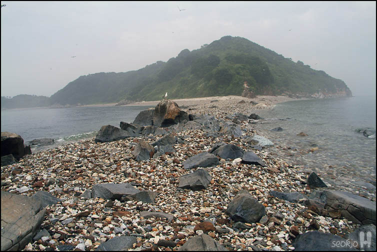 DSCF2121.jpg