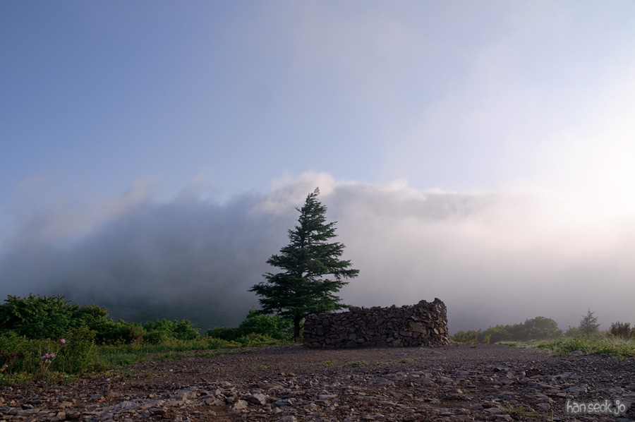 DSC_1931.jpg