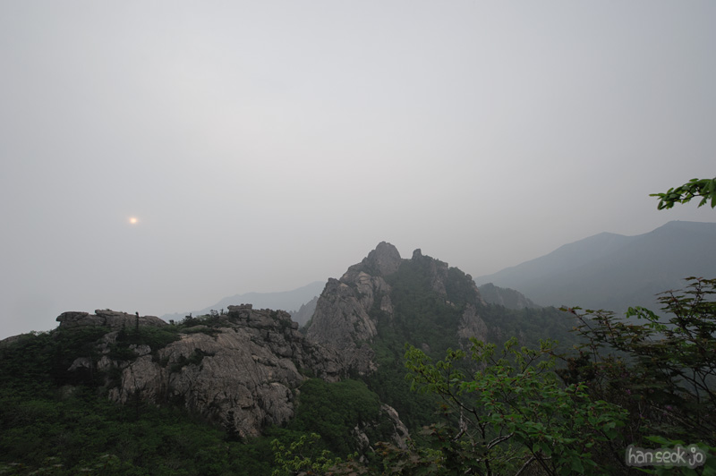 HSJ_9917.jpg