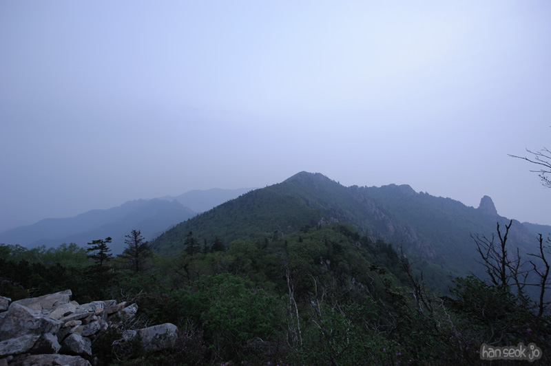 HSJ_9897.jpg