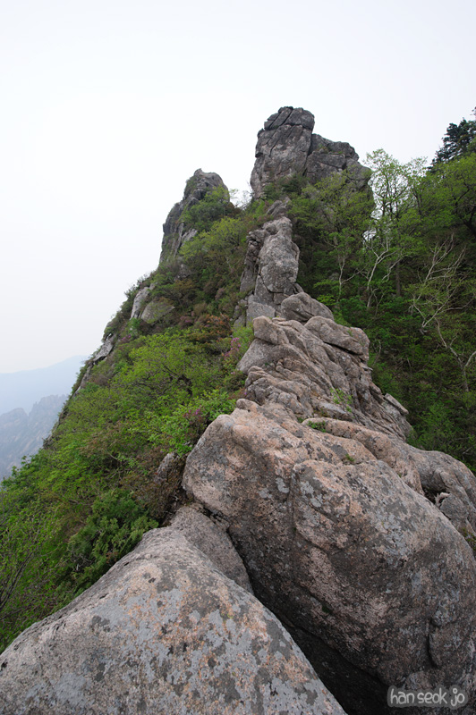 HSJ_9915.jpg