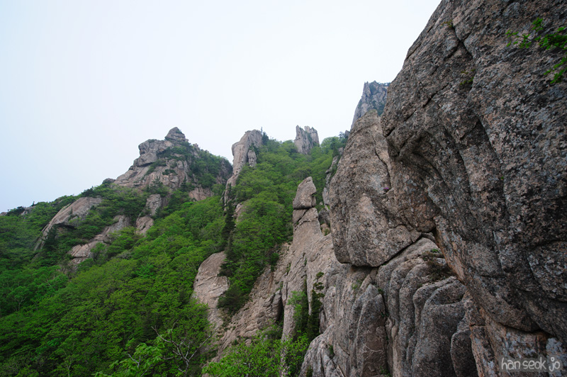 HSJ_9926.jpg