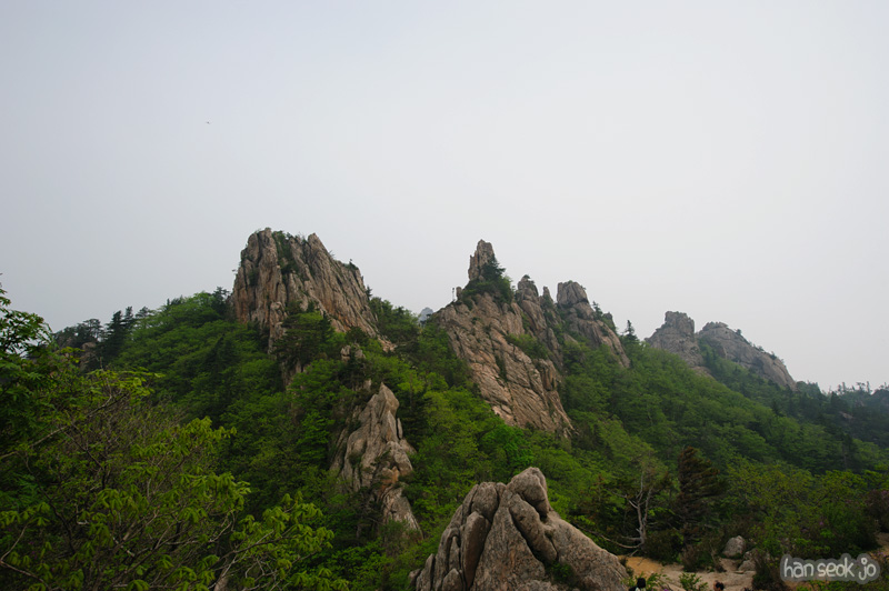 HSJ_9928.jpg