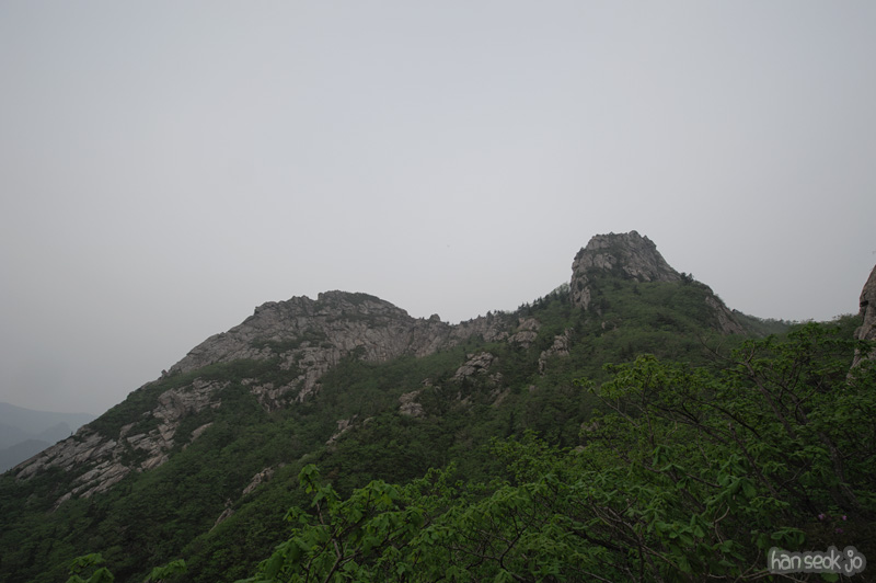 HSJ_9918.jpg