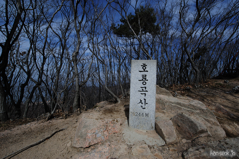 HSJ_8166.jpg