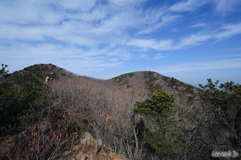 HSJ_8155.jpg