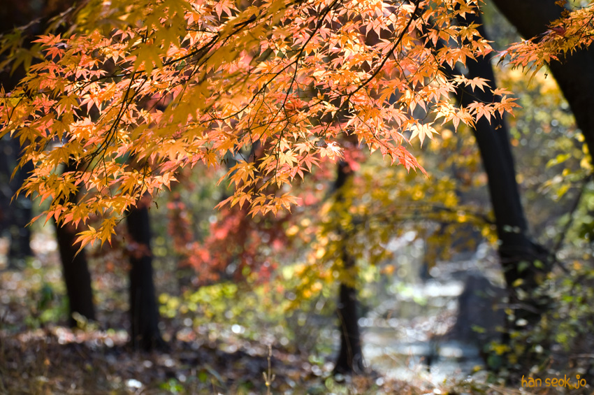 DSC_8686.jpg
