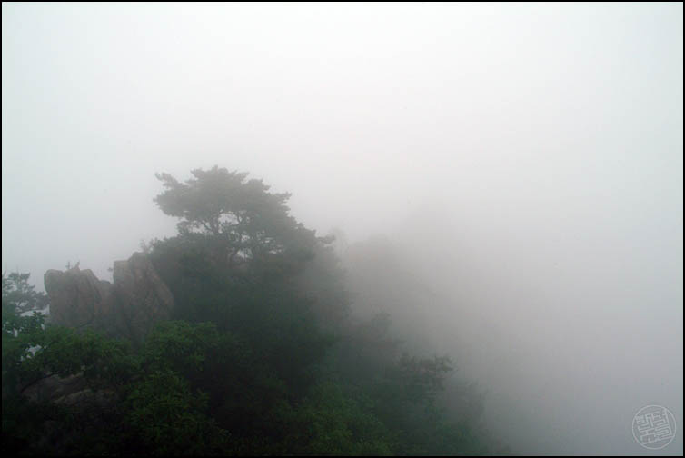 DSCF2509.jpg