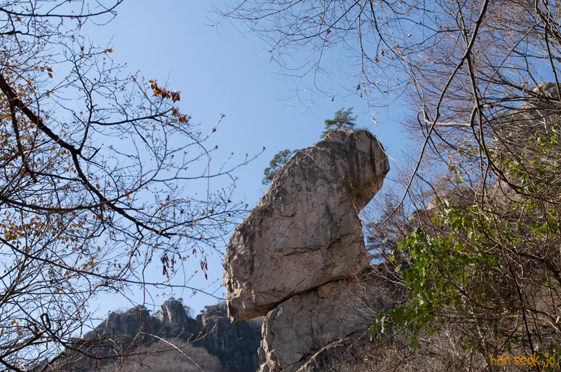 DSC_8756.jpg