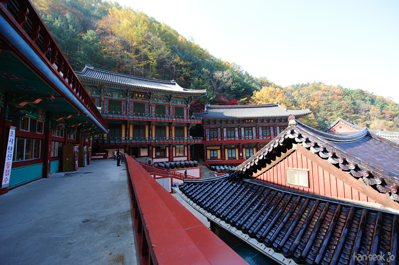 HSJ_6109.jpg