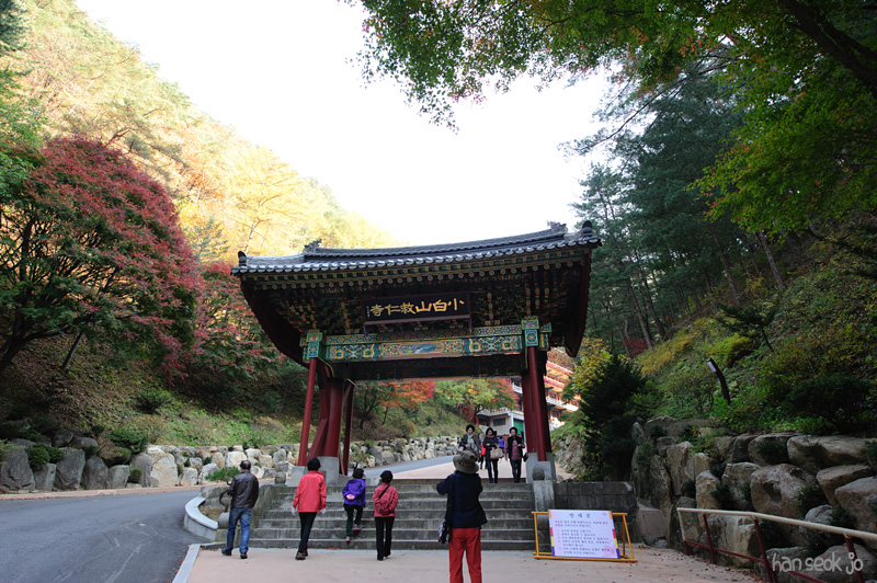 HSJ_6115.jpg