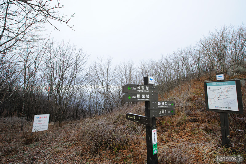 HSJ_6069.jpg