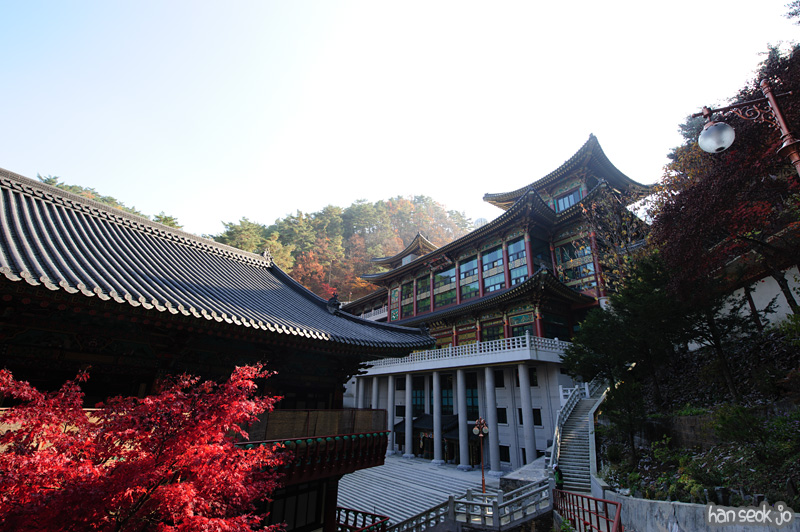 HSJ_6103.jpg