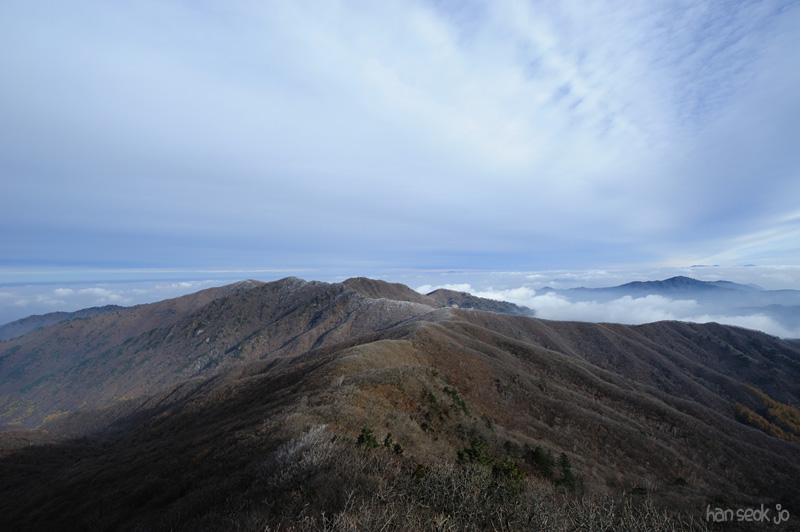 HSJ_6067.jpg