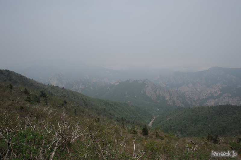 HSJ_9968.jpg