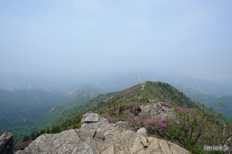 HSJ_9964.jpg