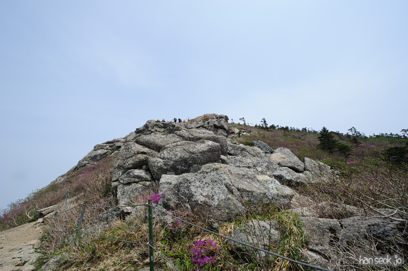 HSJ_9972.jpg