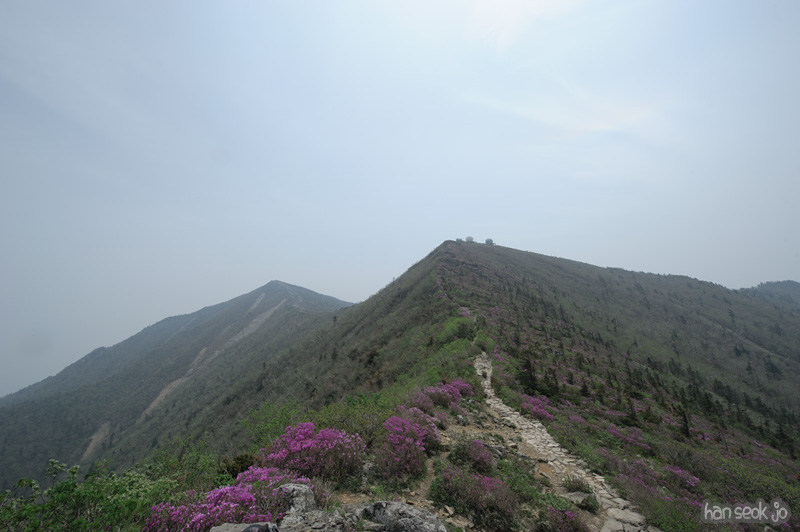 HSJ_9957.jpg