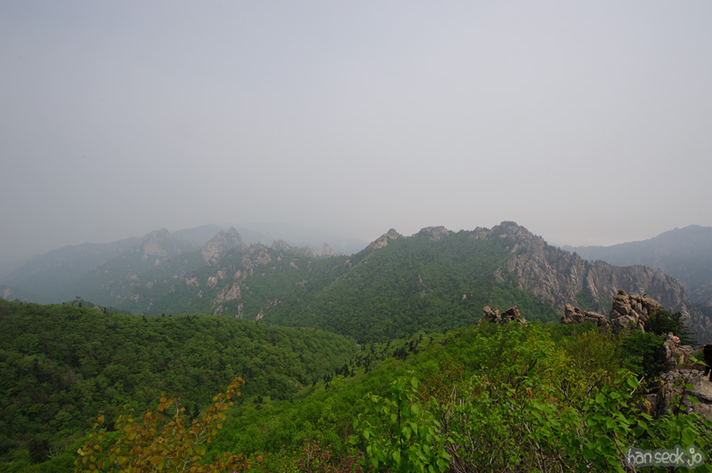 HSJ_9944.jpg