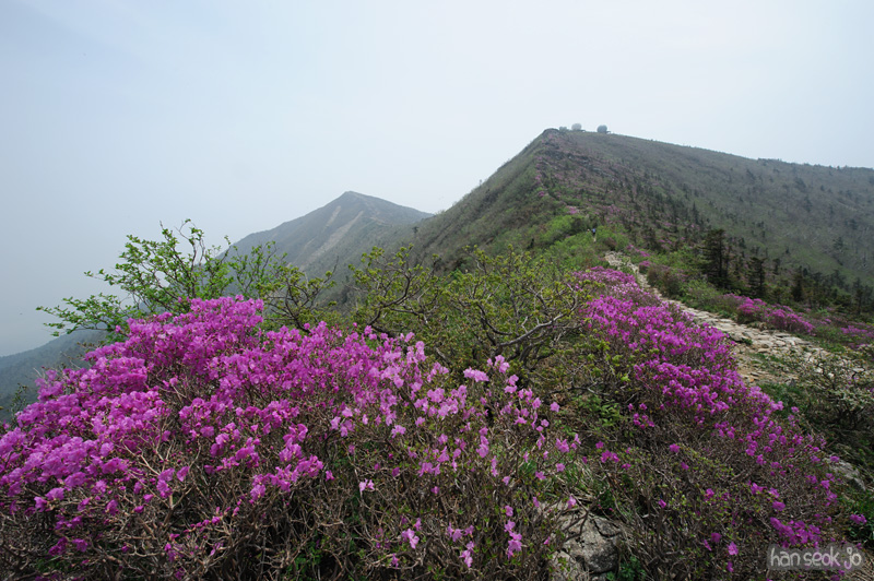 HSJ_9959.jpg