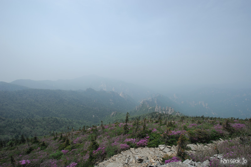 HSJ_9955.jpg