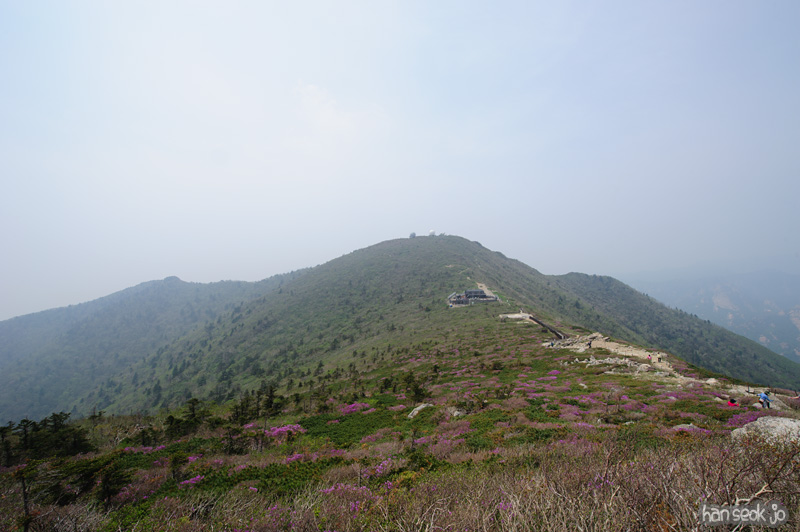 HSJ_9971.jpg