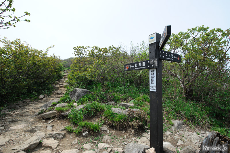 HSJ_9966.jpg