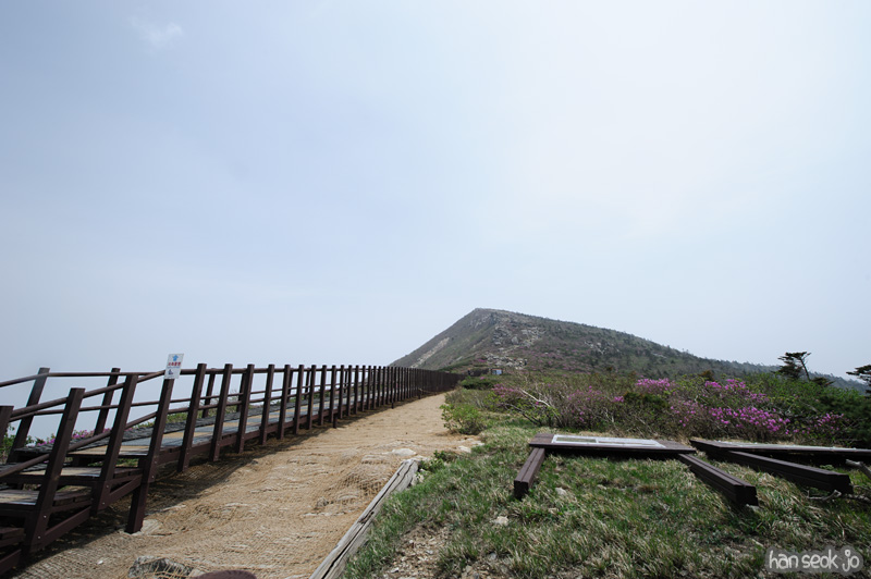 HSJ_9970.jpg