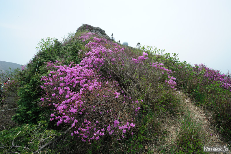 HSJ_9965.jpg