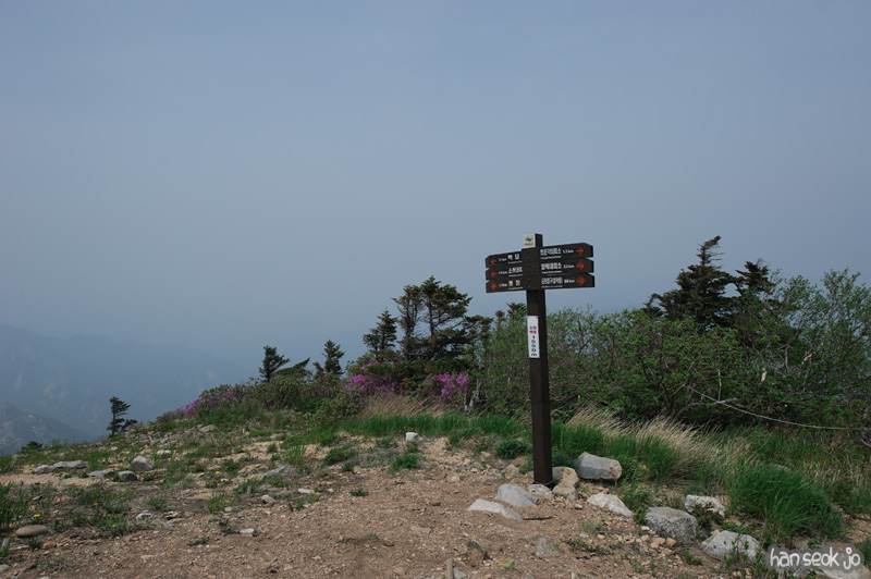 HSJ_9951.jpg