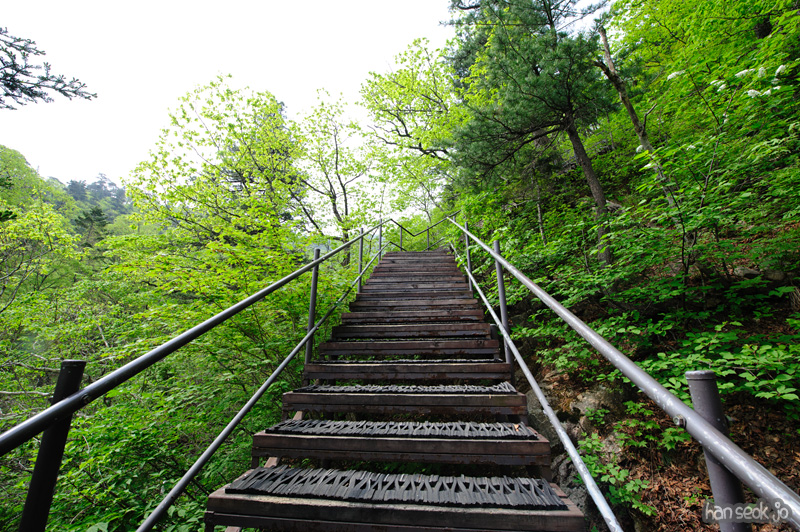 HSJ_9940.jpg
