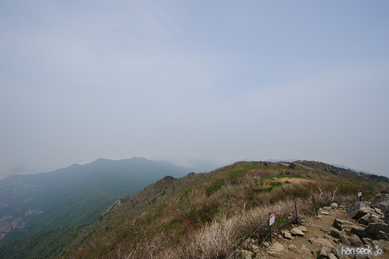 HSJ_9974.jpg