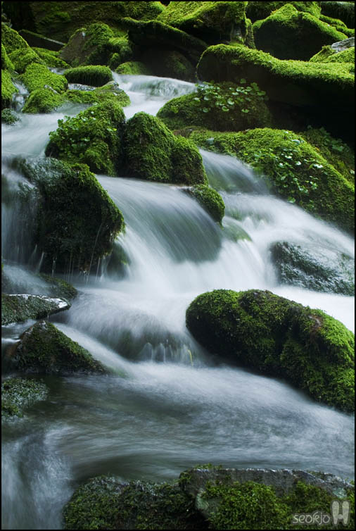 DSCF3183.jpg