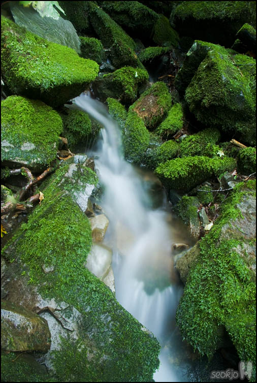 DSCF3199.jpg