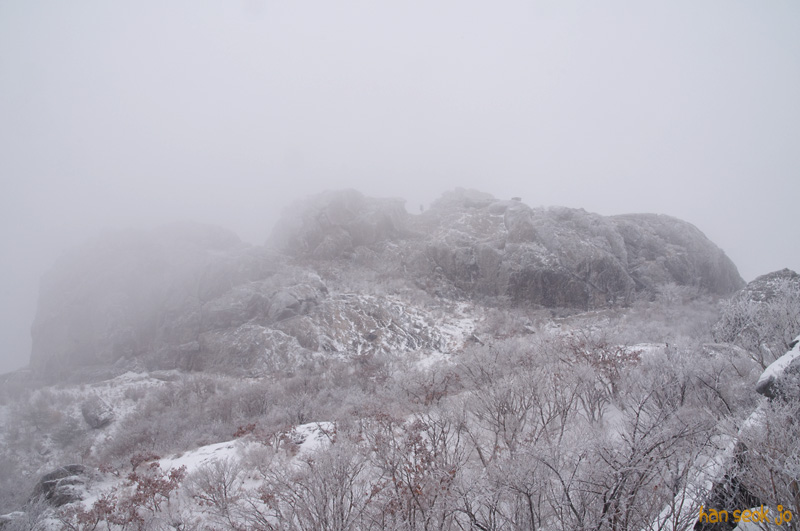DSC_9234.jpg