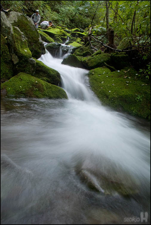 DSCF3184.jpg