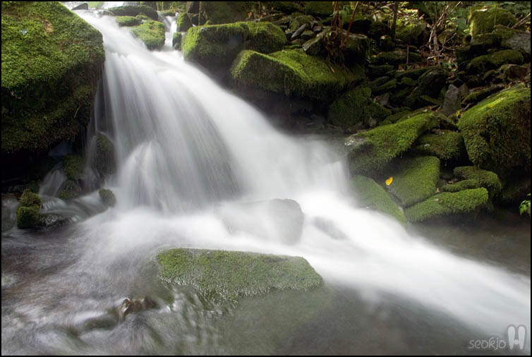 DSCF3187.jpg
