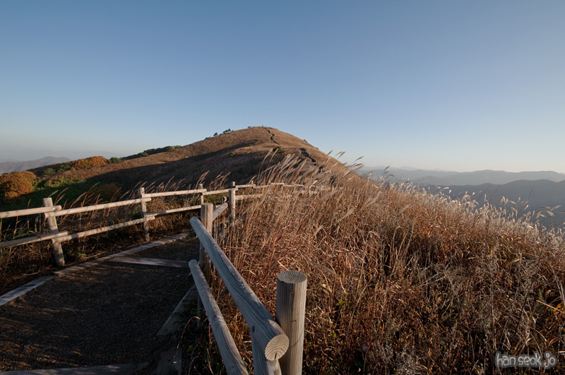 DSC_4322.jpg